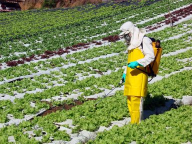 Adiada votação que alivia controle de agrotóxicos