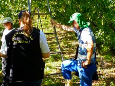 Ação do MPT resgata crianças de trabalho em fazendas