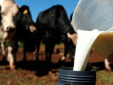 Governo derruba tarifas de importação de leite