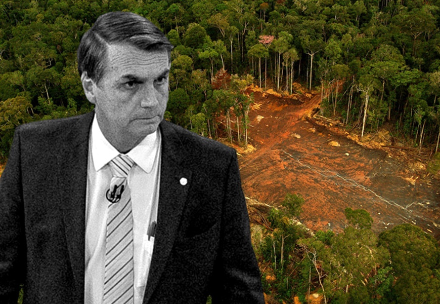 Resultado de imagem para Destruição da Amazônia Bolsonaro