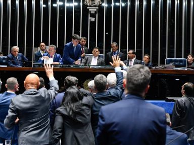 Senado derruba decreto das armas de Bolsonaro por 47 a 28