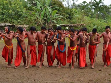 Conselho Indigenista exige medidas urgentes após assassinato em aldeia no Amapá