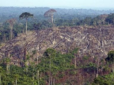 MP da Grilagem aumentará o desmatamento e os conflitos por terra, alerta MPF