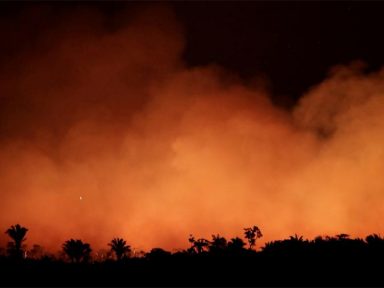 Protestos em defesa da Amazônia são convocados em cidades brasileiras