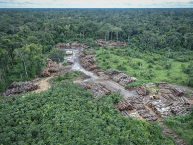 Bolsonaro ameaça Inpe após divulgação de aumento no desmatamento da Amazônia