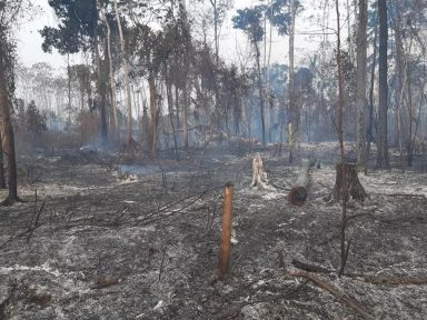 Acre decreta situação de emergência devido às queimadas