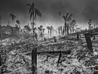 Fotos de Araquém Alcântara denunciam destruição da Amazônia