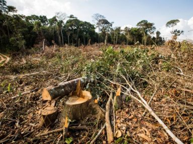 BNDES bloqueia financiamentos de R$ 25 milhões em 58 propriedades rurais de desmatadores
