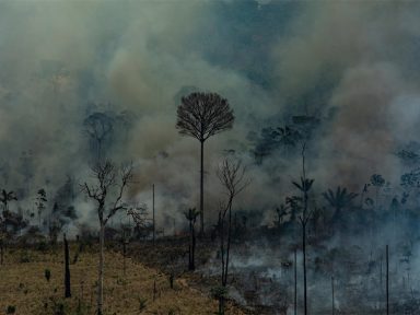 “Dia do Fogo” – Grupo pagou motoqueiros para incendiar áreas florestais