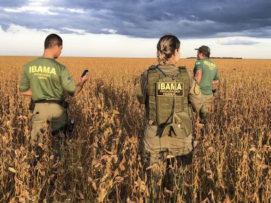 Servidores do Ibama denunciam desmonte e “colapso da gestão ambiental”