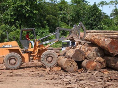 Desmatamento na Amazônia cresceu 25% só em julho, informa o Imazon
