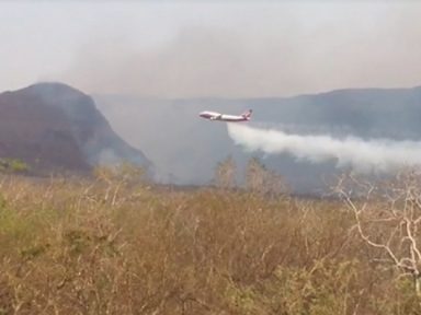 Diante de queimadas, Evo contrata maior avião de combate a incêndios do mundo
