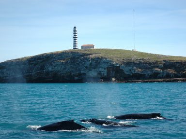 MPF entra com ação para barrar leilão de petróleo na região de Abrolhos