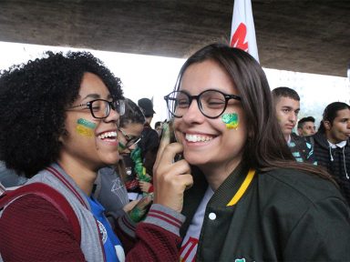 Despenca o apoio a Bolsonaro na região Sul, aponta o Ibope