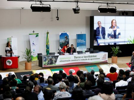 Jandira: Bolsonaro é cúmplice dos crimes ambientais no país