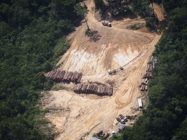 Com Bolsonaro, 7.854 km² da floresta amazônica foram destruídos