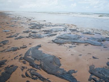 Óleo nas praias nordestinas serve de alerta para desmonte do governo na área ambiental, diz Marina