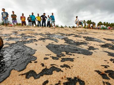 Nordeste acusa governo de omissão sobre derrame de óleo