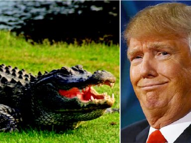 Trump propõe atirar nas  pernas dos imigrantes e fosso com crocodilos