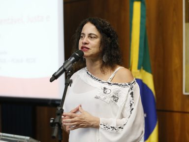 “Para esse governo, é um absurdo tirar o país do atoleiro”, afirma Luciana