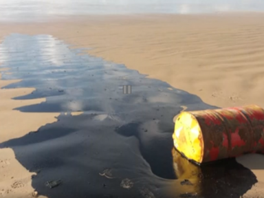 Óleo das praias é o mesmo de barris da Shell encontrados em Sergipe