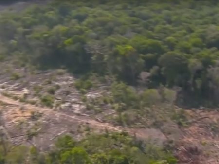 Área degradada na Amazônia cresceu 787% em setembro, diz Imazon