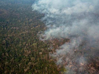 Após morte de guardião por madeireiros, incêndio se alastra pela Terra Indígena Arariboia