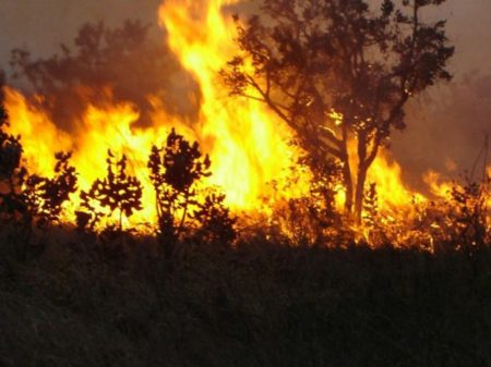 Cientistas rebatem Bolsonaro e mostram que queimadas na Amazônia foram recordes