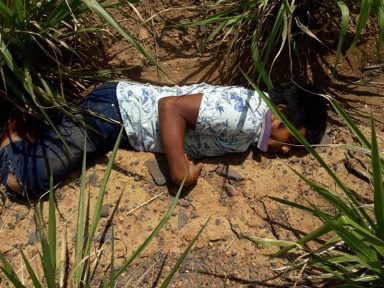 Cimi responsabiliza governo Bolsonaro por morte de caciques Guajajara no Maranhão