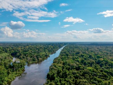 Grileiros na Amazônia vão ser beneficiados pela MP 910, alerta pesquisador