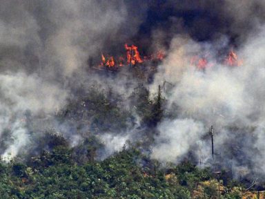 Com Bolsonaro, queimadas na Amazônia aumentaram 30%, registra o Inpe