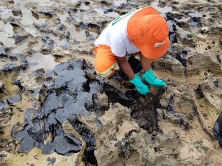 João Campos: após 5 meses o governo federal não tem respostas sobre o óleo nas praias