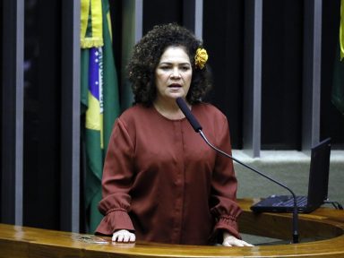 ‘As Forças Armadas devem servir a todos os governos com altivez e isenção’, diz deputada