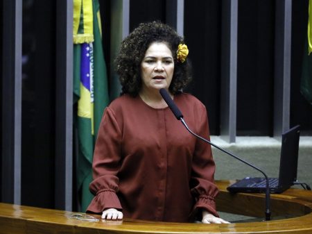 Perpétua: “Câmara precisa investigar os atos de Bolsonaro imediatamente”