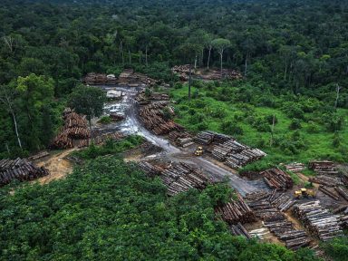 Desmatamento na Amazônia em abril foi 171% maior que o ano passado