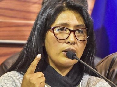 Presidente do Senado da Bolívia denuncia: Áñez manobra para se prorrogar no poder