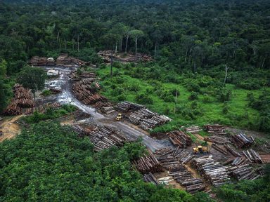 De janeiro a junho, desmatamento na Amazônia foi 25% maior, diz Inpe
