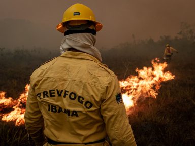 Ibama tem corte de 19% na verba de combate a incêndios, na véspera do início das queimadas