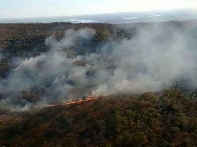 Quinta-feira (30) foi o dia de julho com mais queimadas na Amazônia em 15 anos