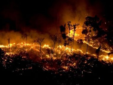 Número de queimadas na Amazônia em junho é o maior em 13 anos, diz Inpe