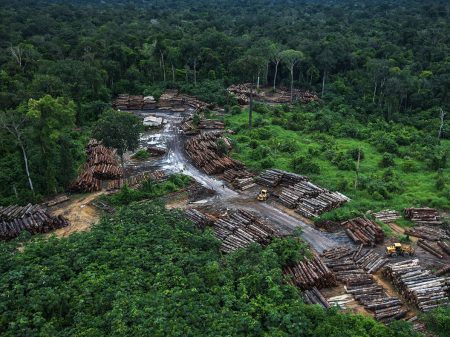“É vergonhoso perder investimento por não coibir o desmatamento”, diz embaixador