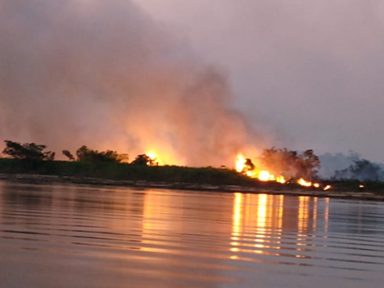 Pantanal tem julho com maior número de queimadas já registrado pelo Inpe