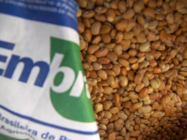 Pesquisadores alertam para risco de desmonte da Embrapa