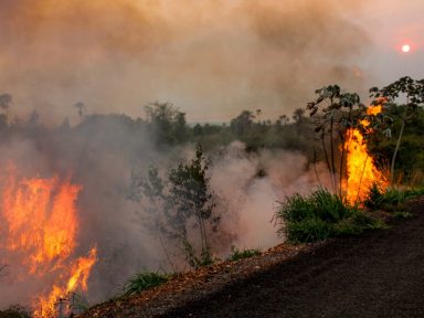 Inércia do governo faz Senado criar comissão para acompanhar queimadas no Pantanal