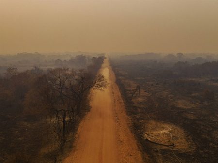Bolsonaro diz que Brasil “está de parabéns” na preservação enquanto Pantanal arde em chamas