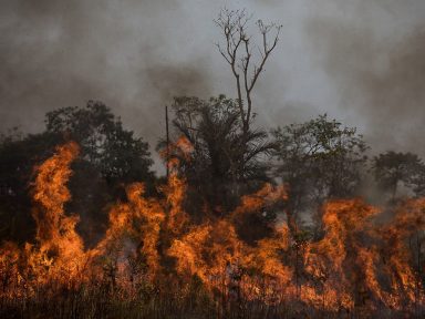 Número de queimadas na Amazônia em agosto foi o segundo maior em 12 anos