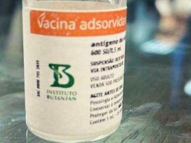 85% dos brasileiros querem se vacinar contra a Covid-19, aponta Revista Nature