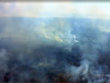 Omisso, governo põe culpa nos estados e no STF por queimadas no Pantanal