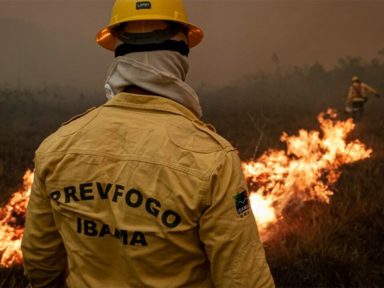 Ministério do Meio Ambiente declara emergência em regiões brasileiras suscetíveis a queimadas
