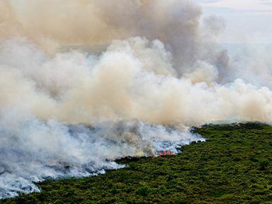 Queimadas já destruíram 26,5% do bioma do Pantanal